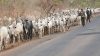 Umahi orders arrest of persons circulating fake video of attack on herders in Ebonyi