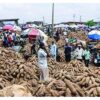How Niger’s Yam Farmers Negotiate With Terrorists To Access Fields