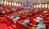 2023 budget: Senate to slash proposed N6trn import duty waiver by 50%